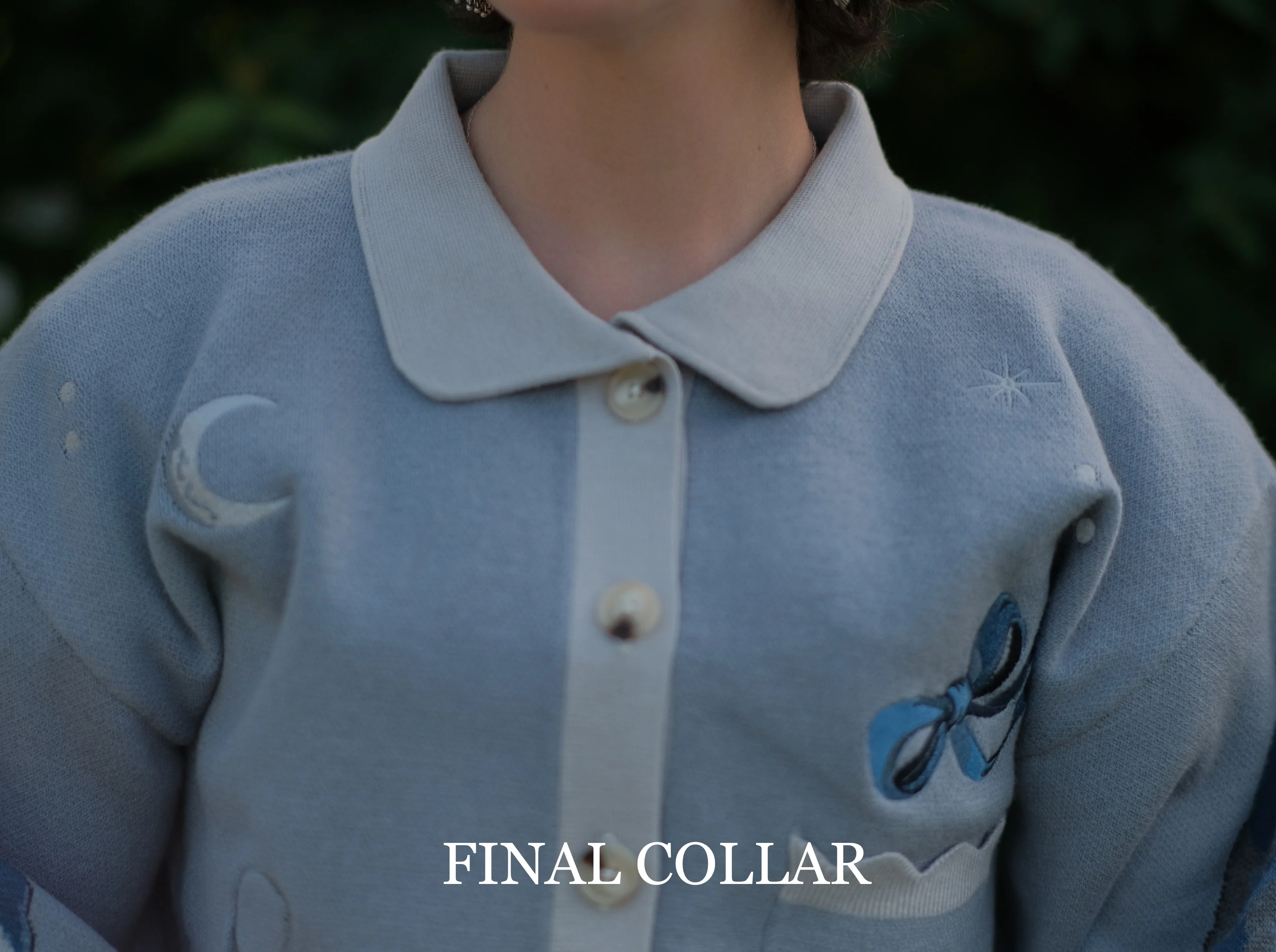 Bluebird's Curse // Embroidered Cardigan - Image 8