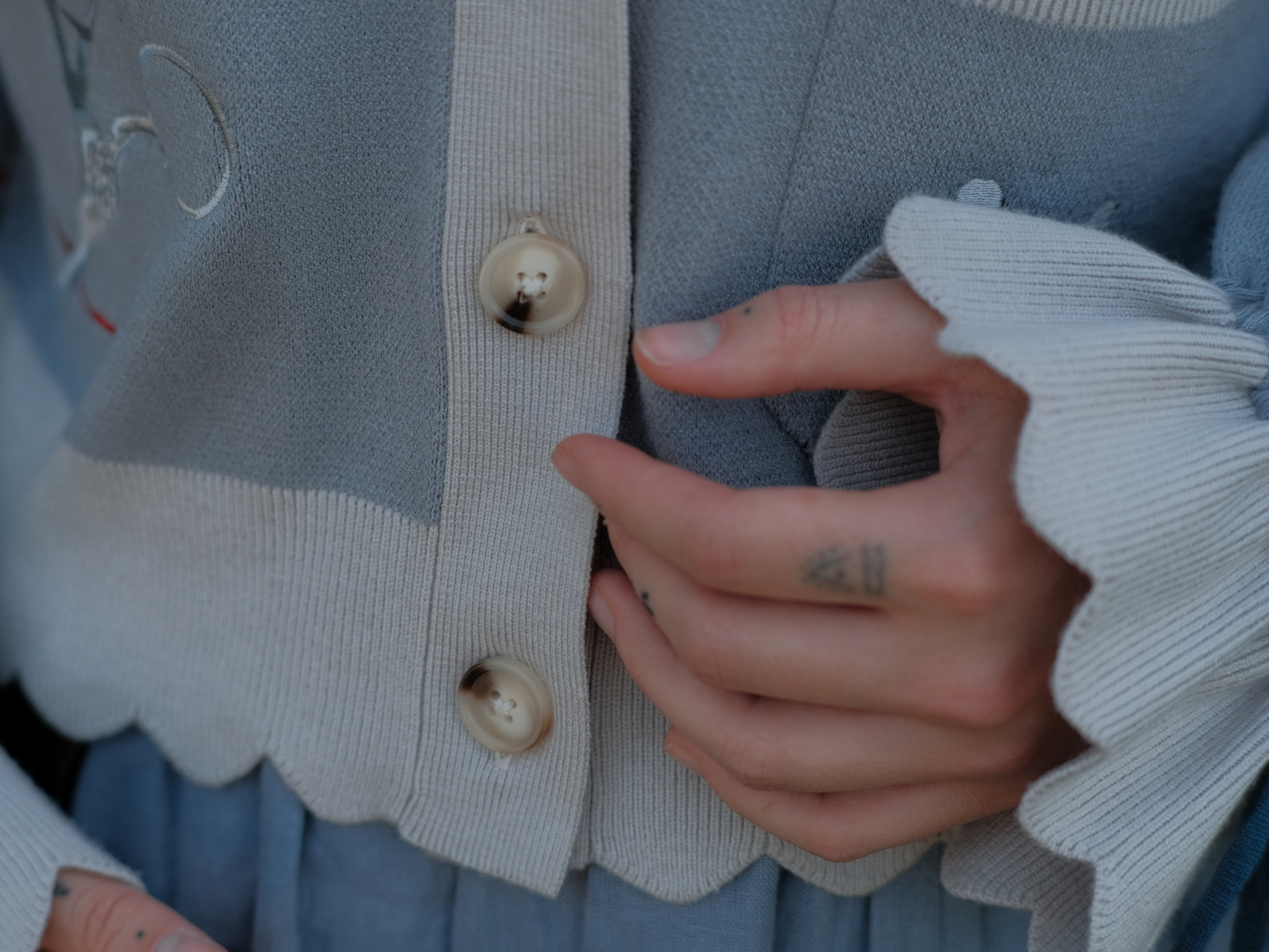 Bluebird's Curse // Embroidered Cardigan - Image 9