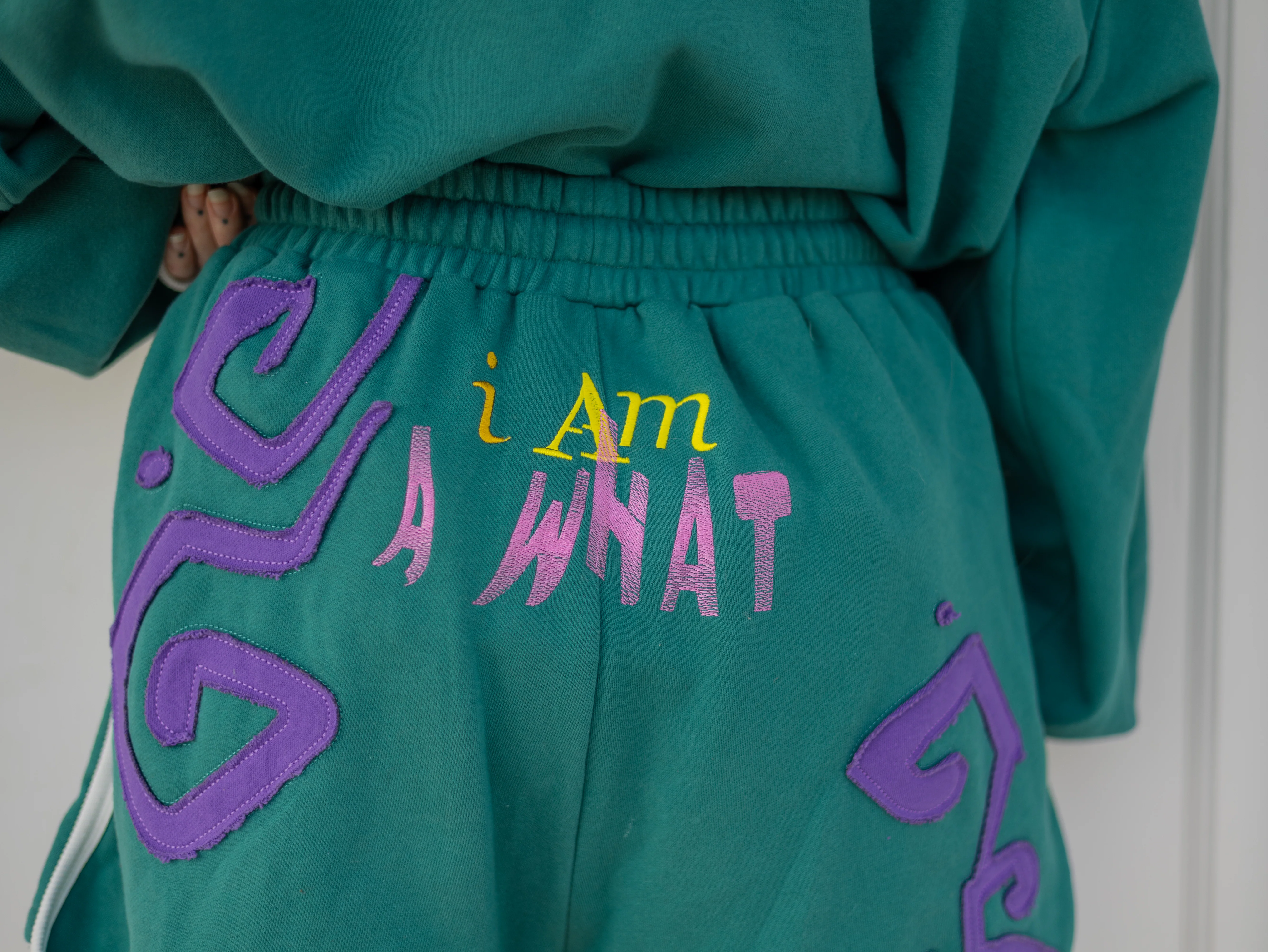 "I'm a What" Shorts // Short [discounted typo) - Image 5