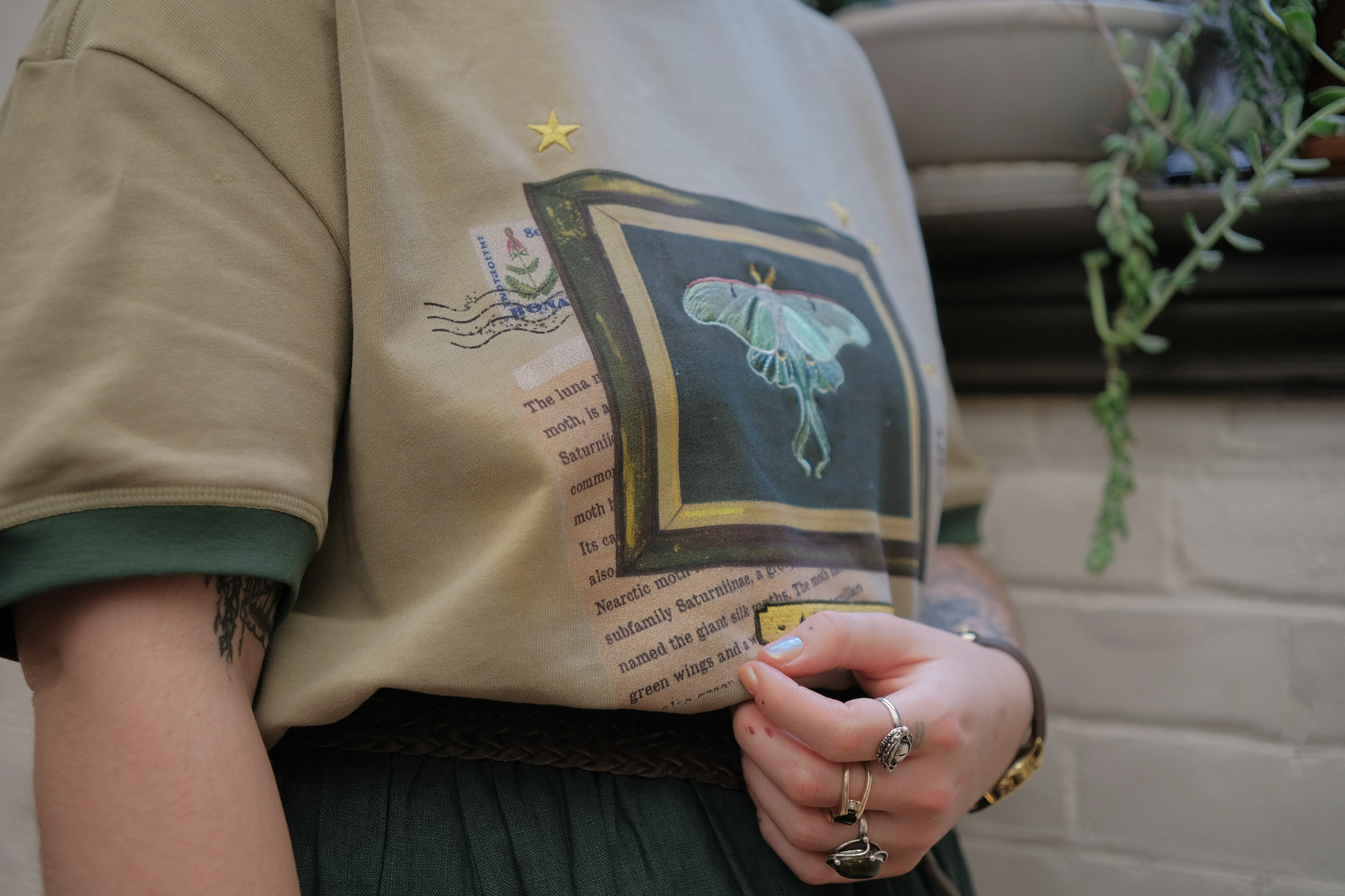 Luna Moth // Framed Specimen Tee (Heavy-weight) - Image 5