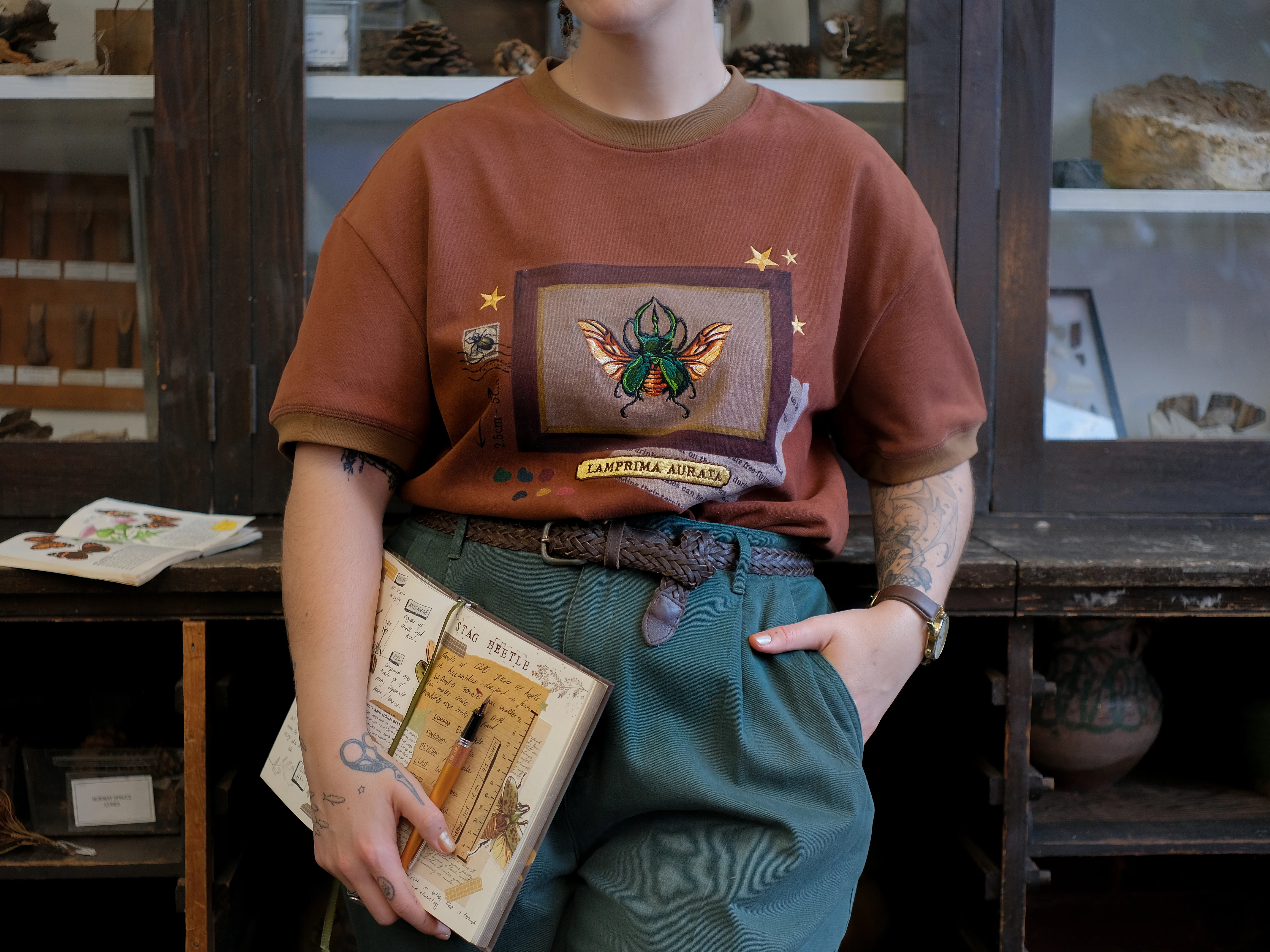 Stag-Horn Beetle // Framed Specimen Tee  (Heavy-weight) - Image 5