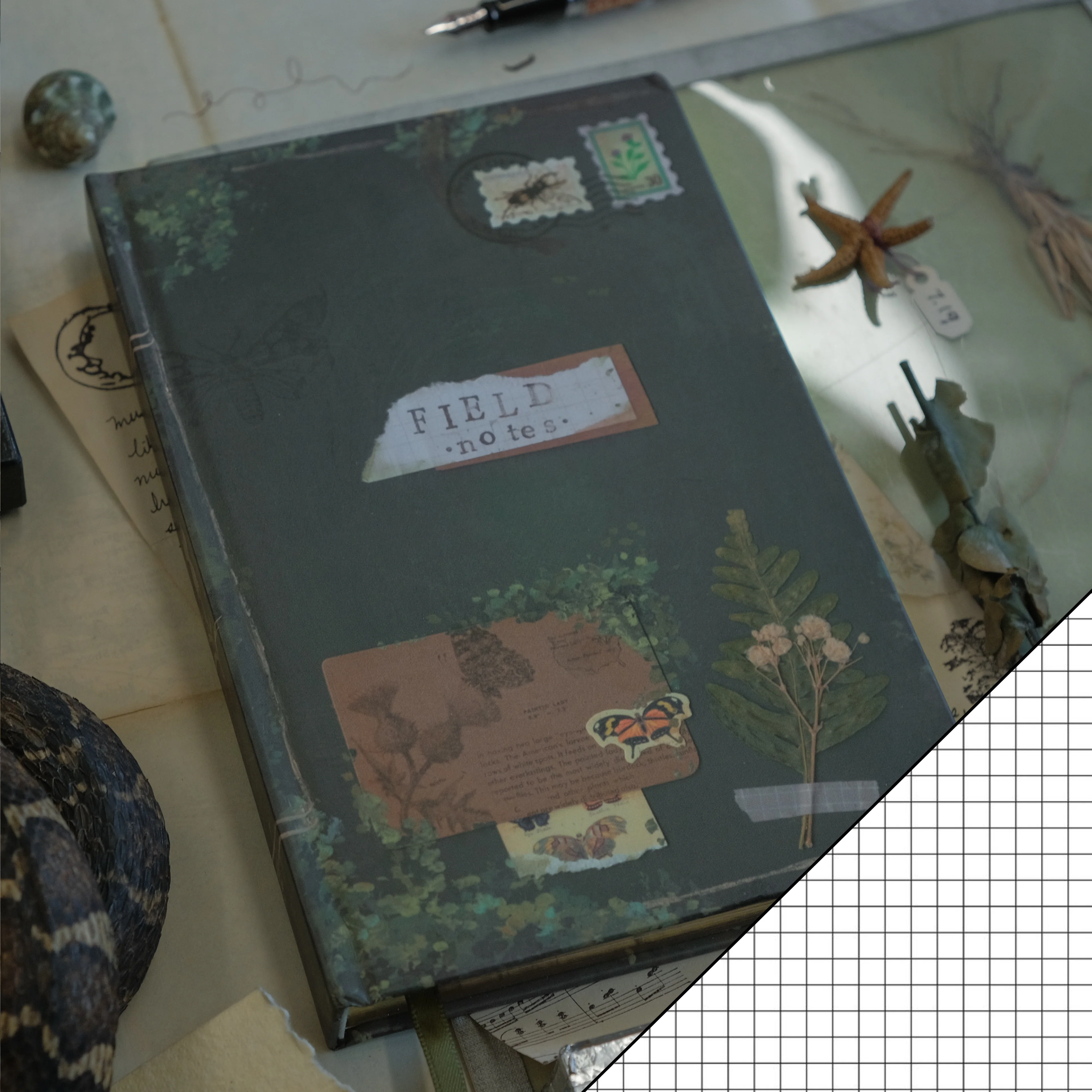 The Botanist's Journal // Field Notes - Image 10