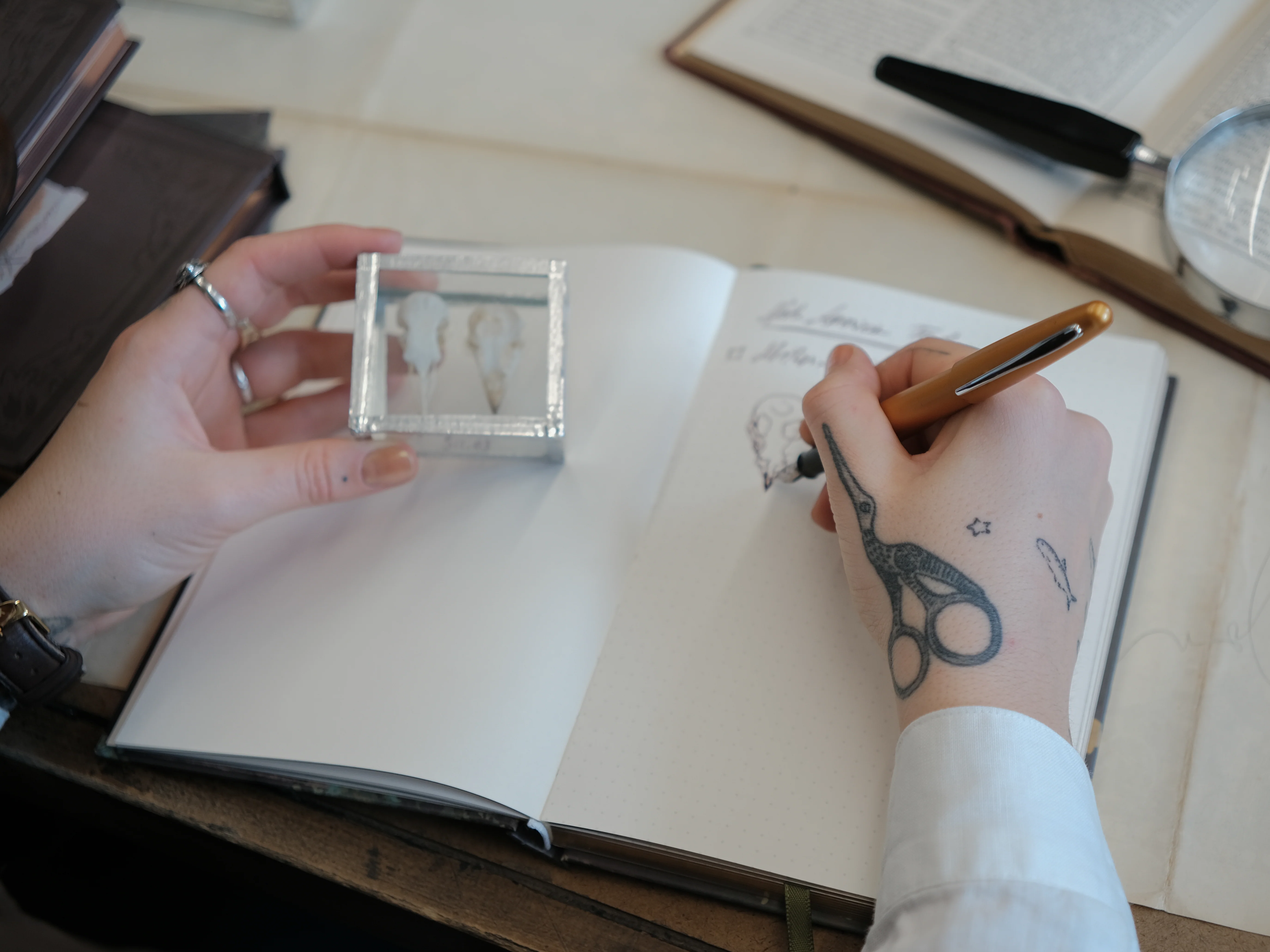 The Botanist's Journal // Field Notes - Image 6