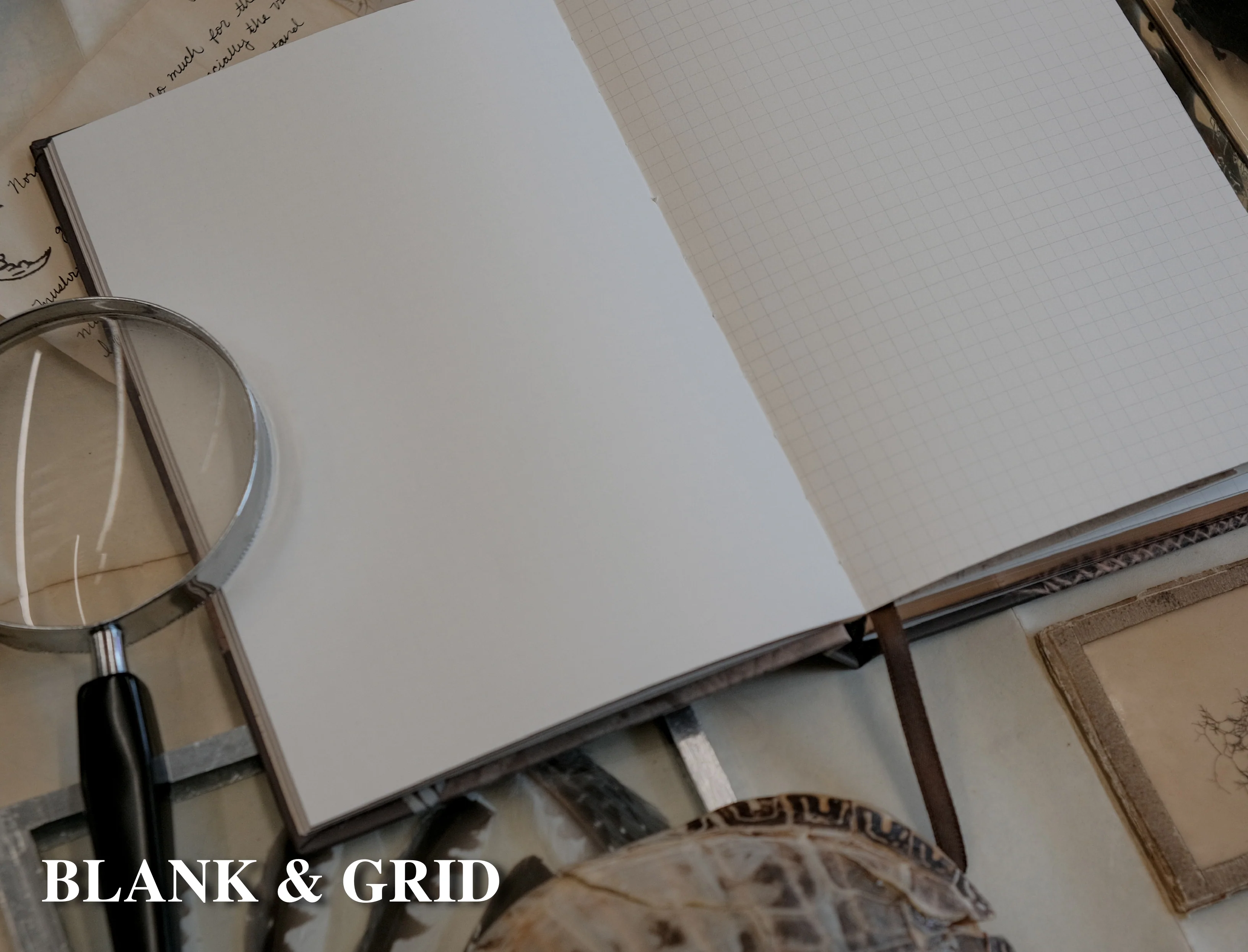 The Botanist's Journal // Field Notes - Image 8