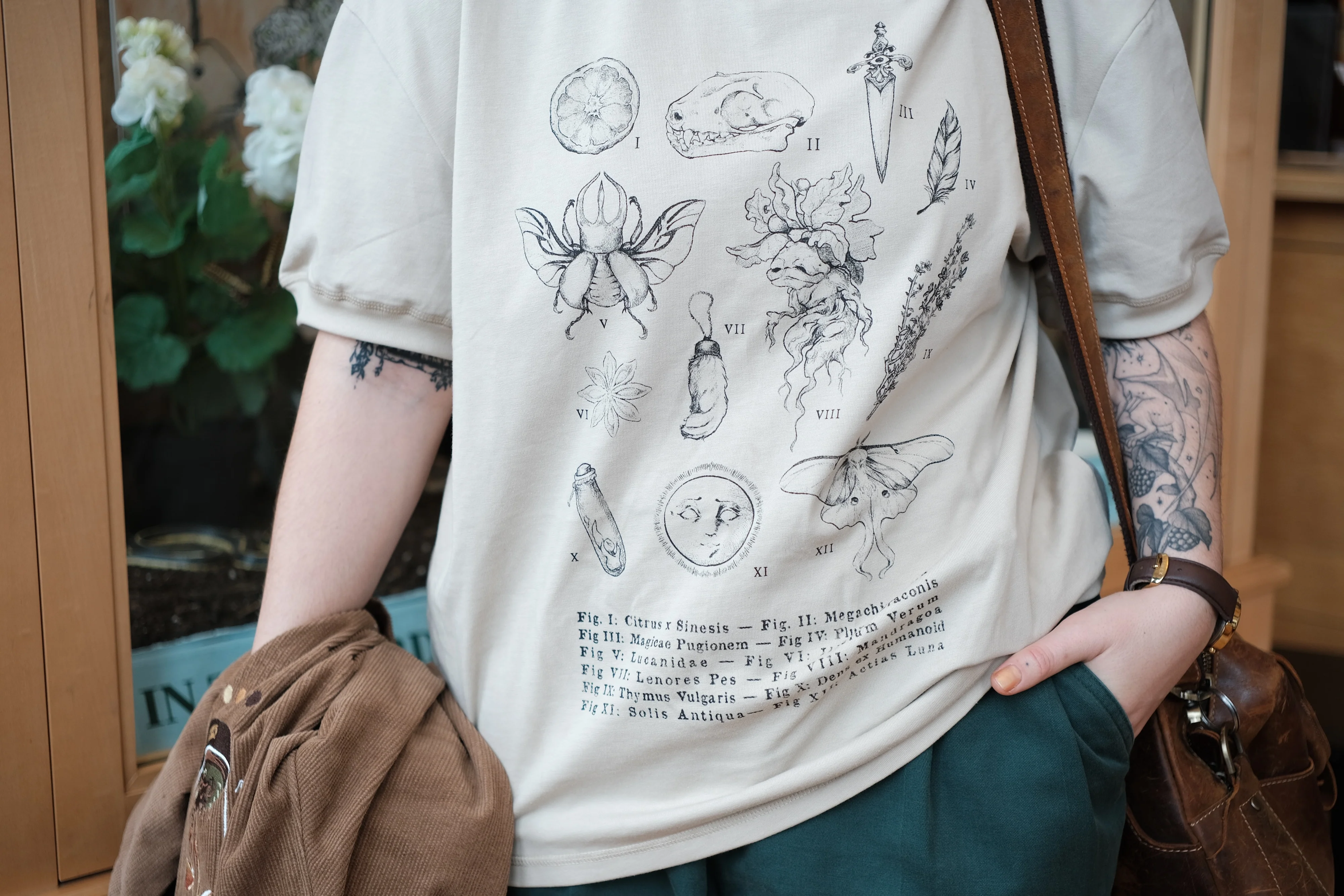 The Curio Cabinet Tee // Mid-Weight - Image 8