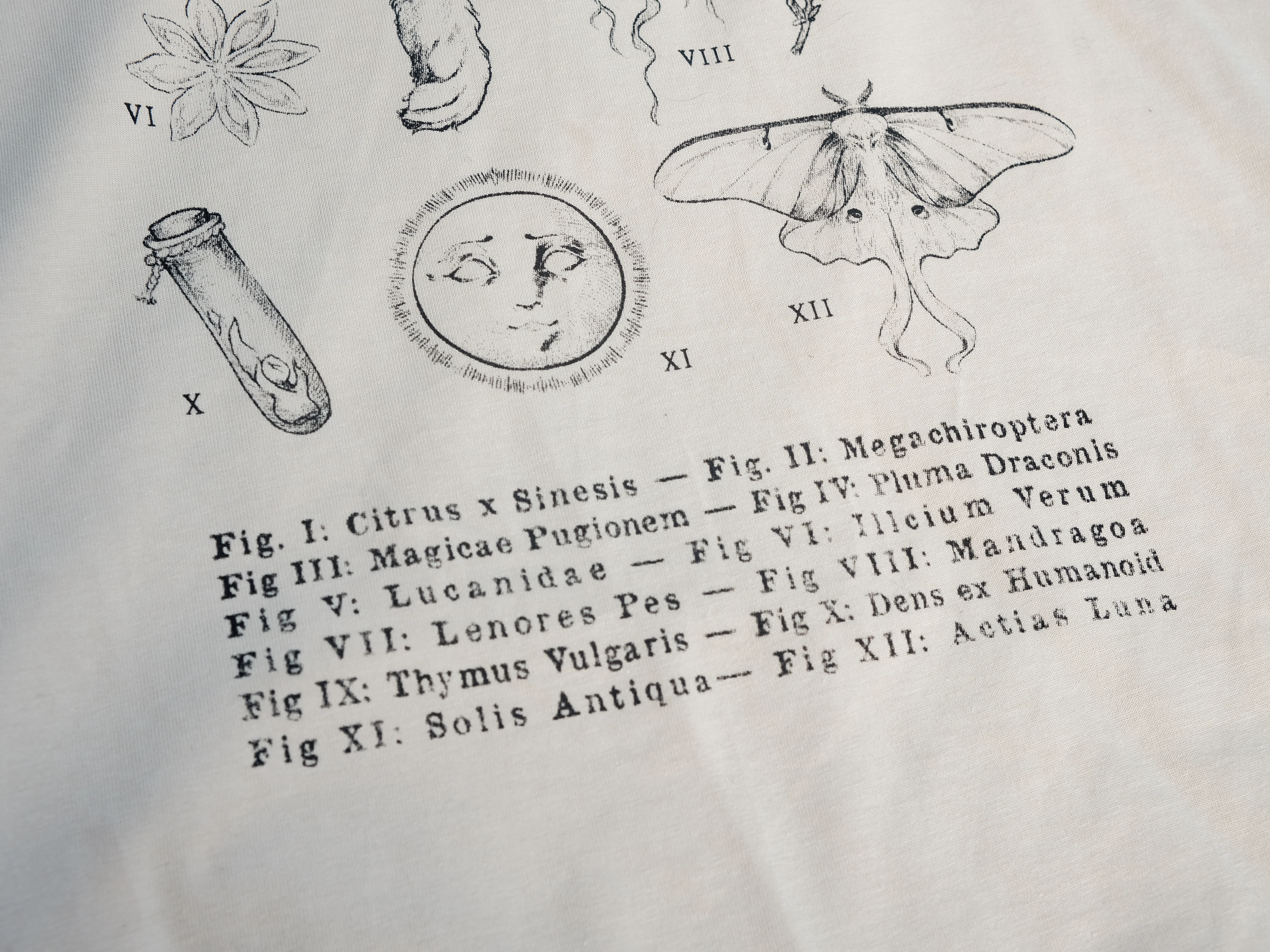 The Curio Cabinet Tee // Mid-Weight - Image 9