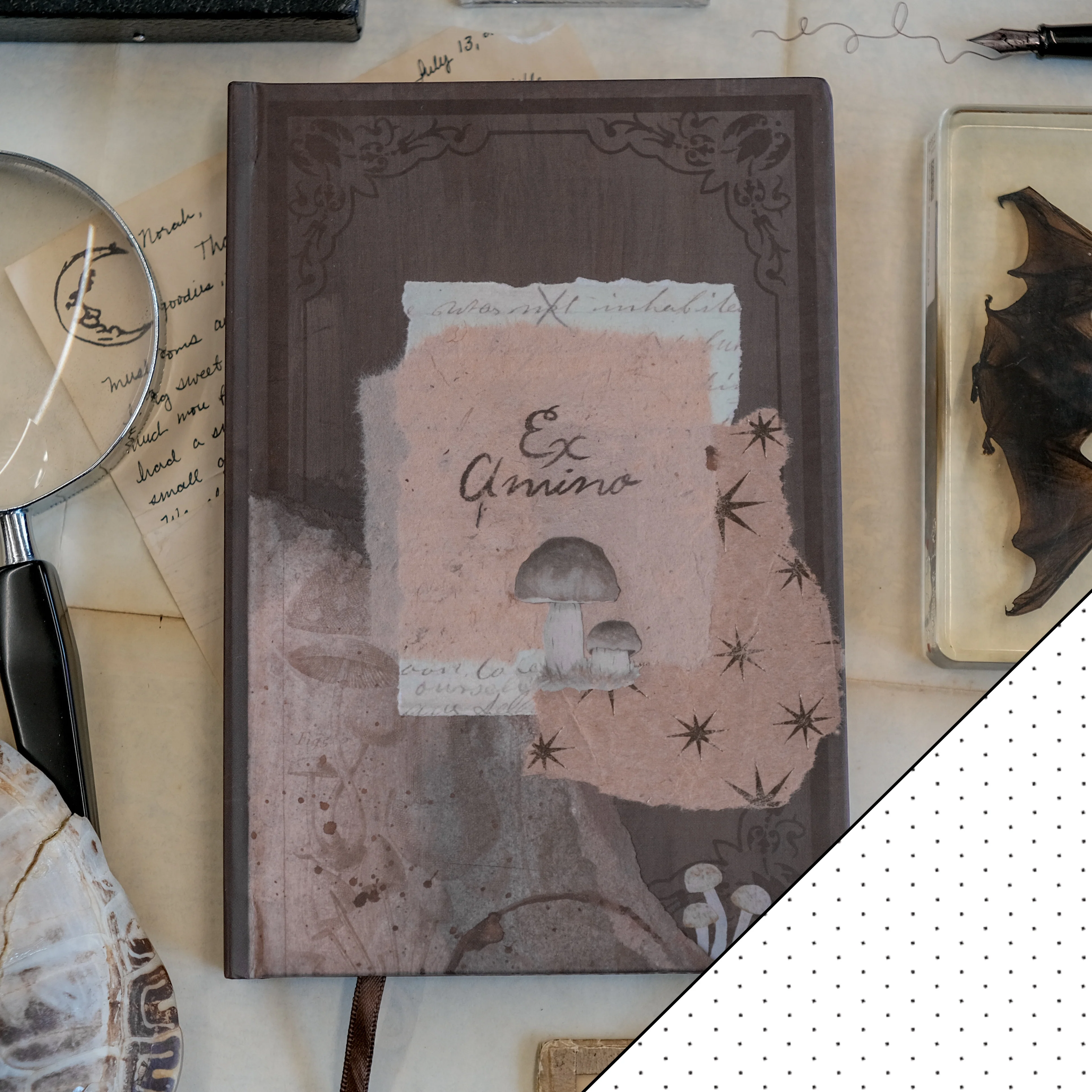 The Scholar's Journal // Ex Amino - Image 10