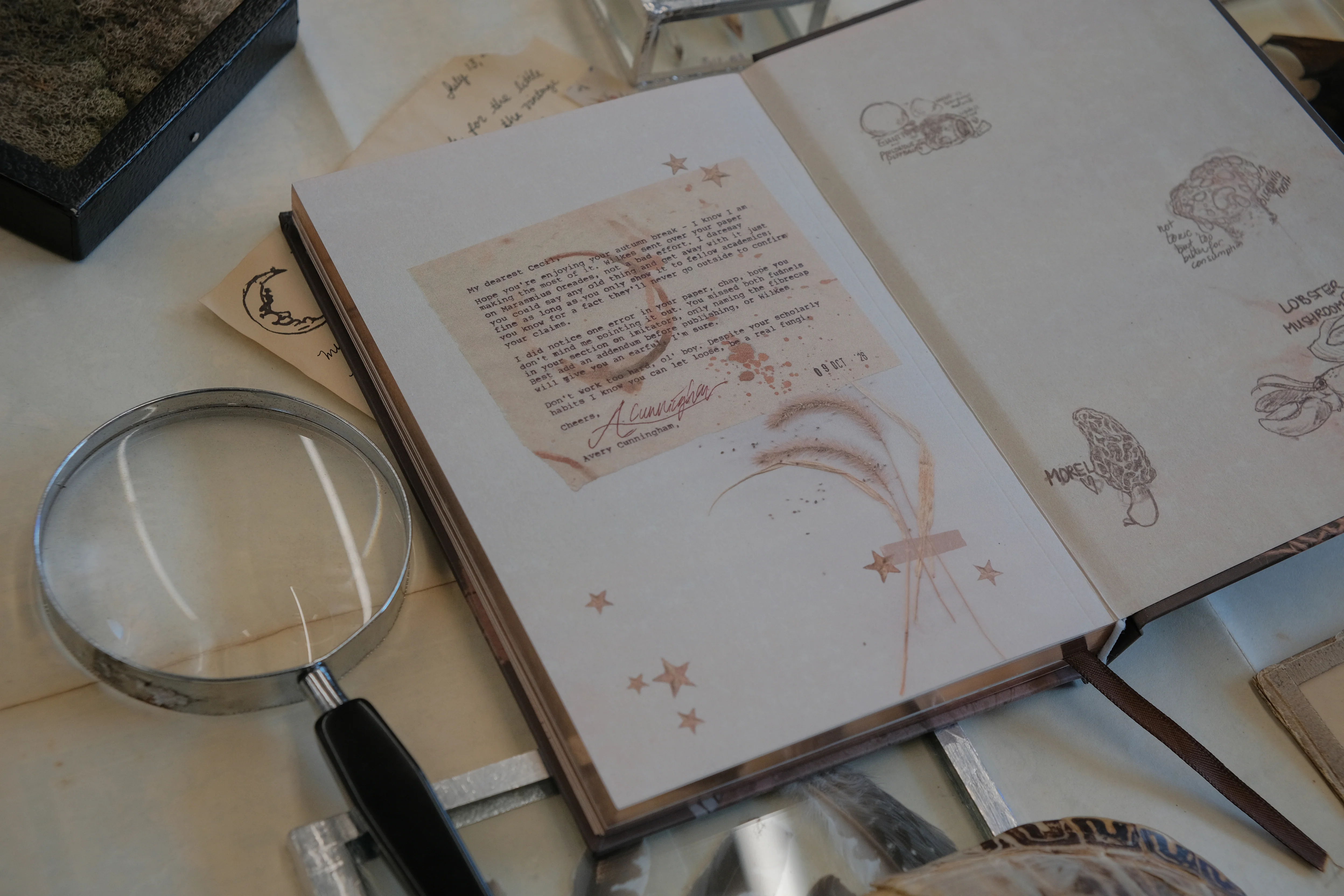 The Scholar's Journal // Ex Amino - Image 8